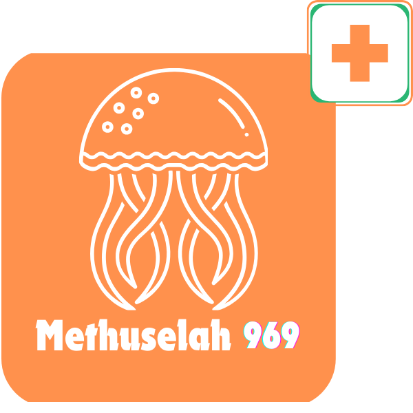 Methuselah 969 